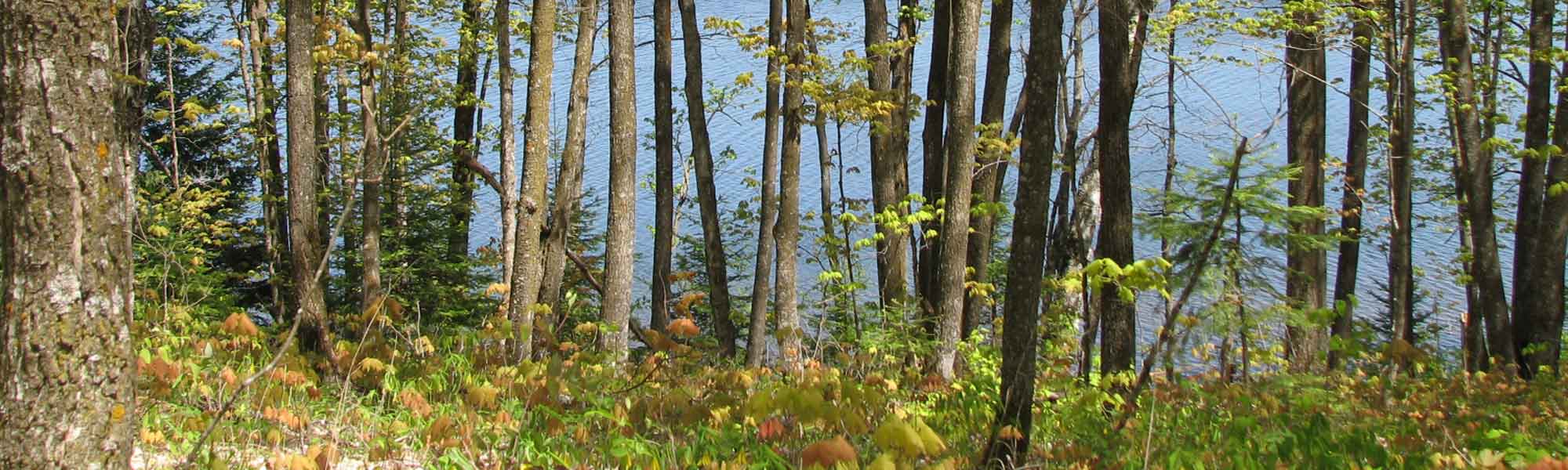 Itasca Waters - pagetitle