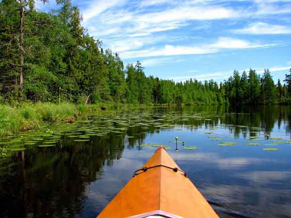 Itasca Waters - Recommended Reading