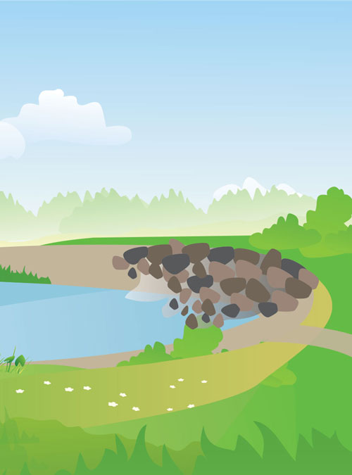 Erosion / Runoff Erosion / Runoff