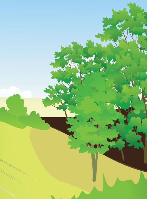 Private Forest Management Private Forest Management