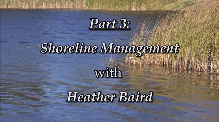 Shoreline Management Shoreline Management